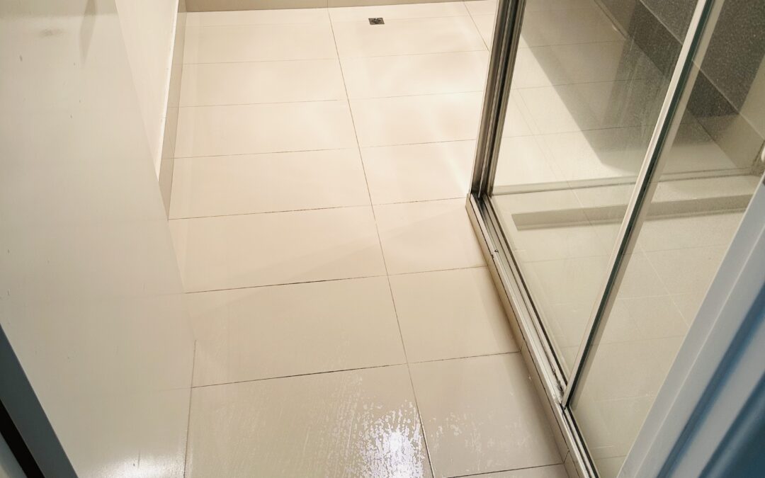 Bathroom Cleaning Project 2
