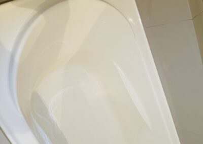 bathroom cleaning project