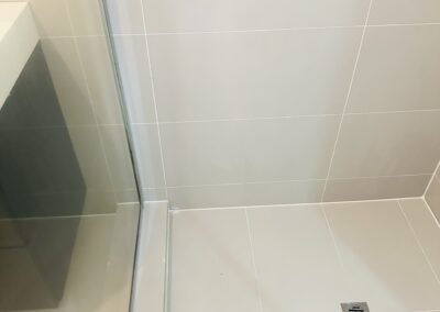 bathroom cleaning project