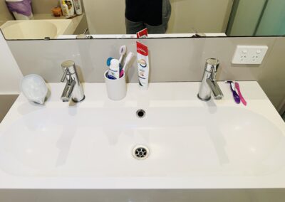 bathroom cleaning project