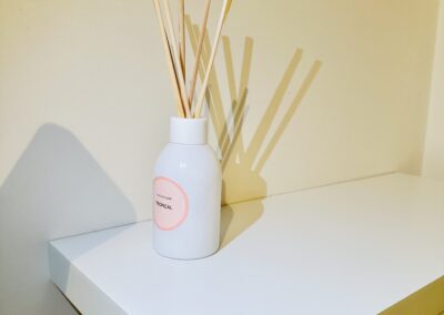 bathroom cleaning project
