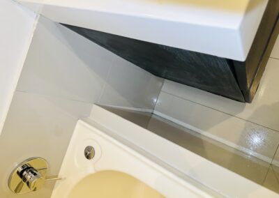 bathroom cleaning project