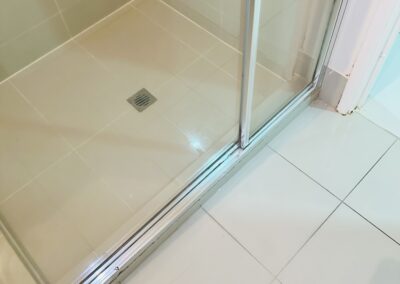bathroom cleaning project