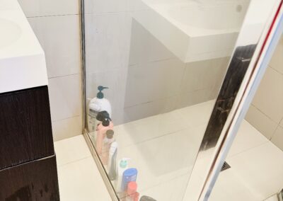 bathroom cleaning project